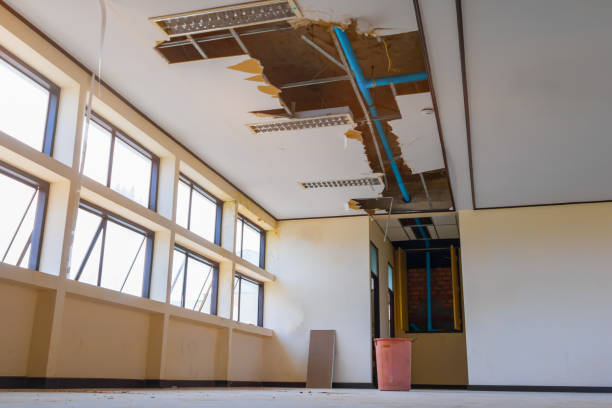 Best 24-hour water damage restoration  in Pines Lake, NJ