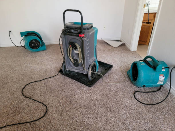 Best Basement water damage restoration  in Pines Lake, NJ