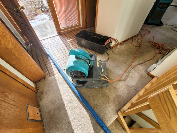 Best Water damage restoration near me  in Pines Lake, NJ