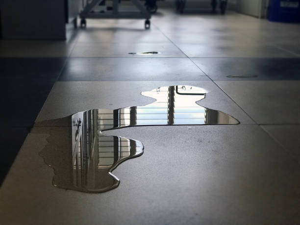 Best Water damage restoration near me  in Pines Lake, NJ