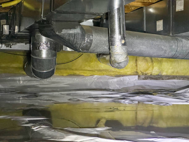 Best Flood restoration services  in Pines Lake, NJ