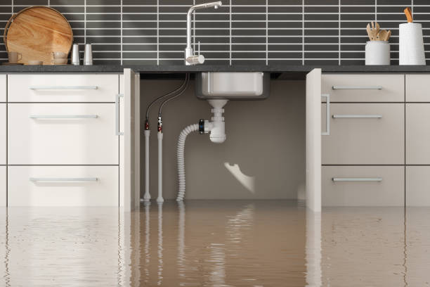 Best Water damage cleanup near me  in Pines Lake, NJ