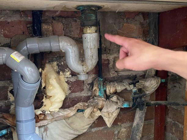 Best Ceiling water damage repair  in Pines Lake, NJ