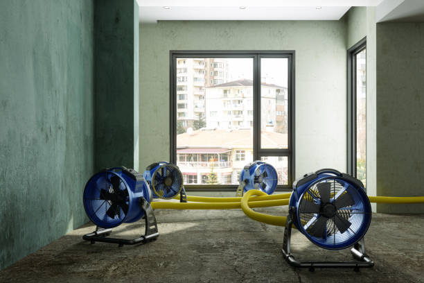 Best Water damage contractors near me  in Pines Lake, NJ