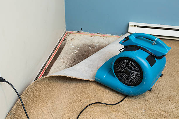 Pines Lake, NJ Water damage restoration Company